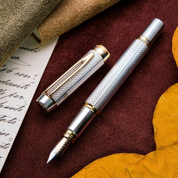 WA0049 - Waterman - Man 100 Etoile N°49 - Collectible fountain pens & more