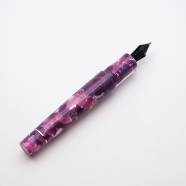 DE0071 - Delta - Giulietta Viola - Collectible fountain pens & more -1