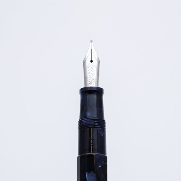 OM0192 - Omas - Paragon Blu Royale 2002 - Collectible fountain pens & more -1