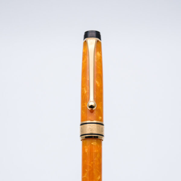 AU0043 - Aurora - Sole - Collectible fountain pen & More-1-3